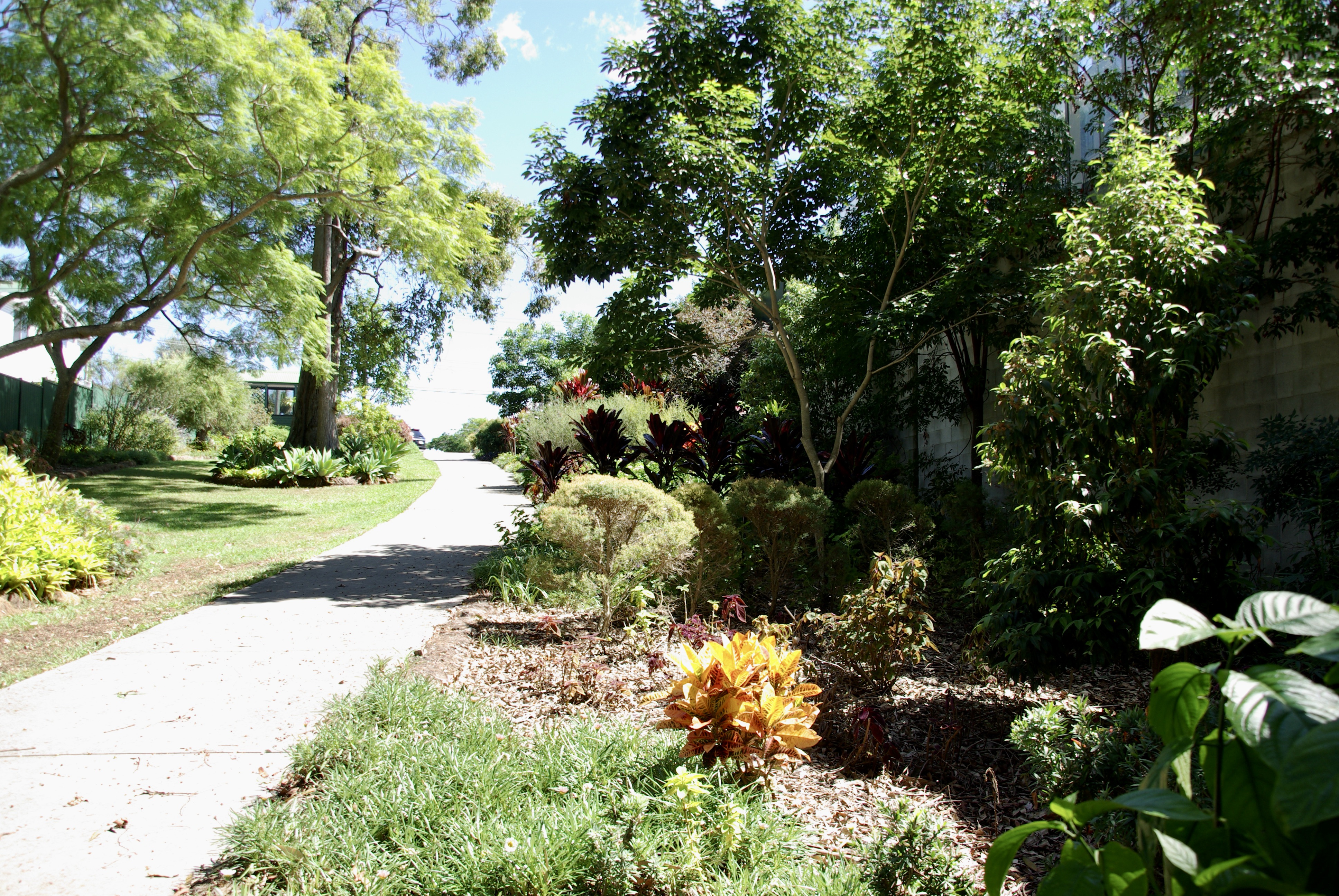 A walk in a Albany Creek park