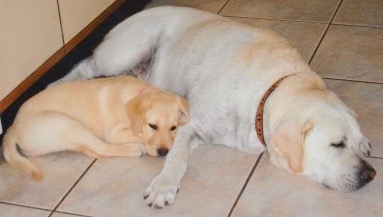 Unconditional Love!