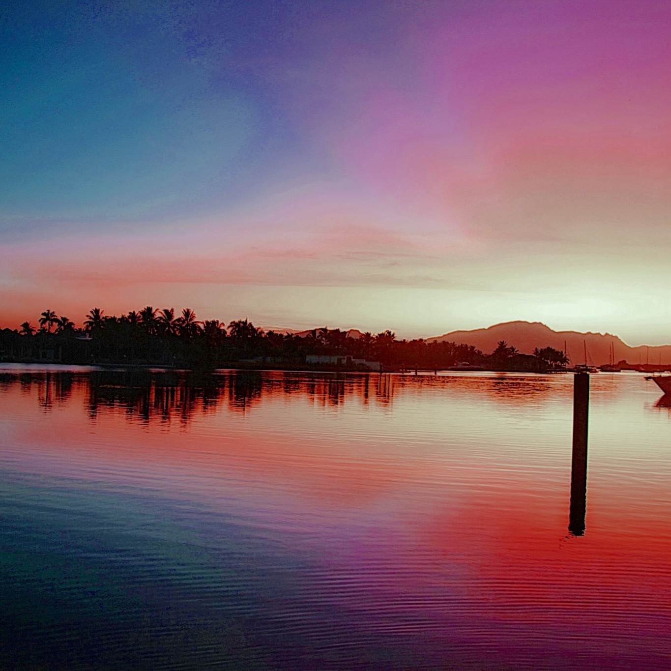 Colour my world