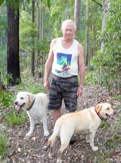 Albany Creek Forest